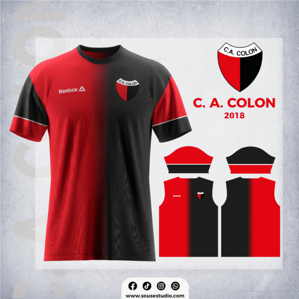 C. A. Colon 2018
